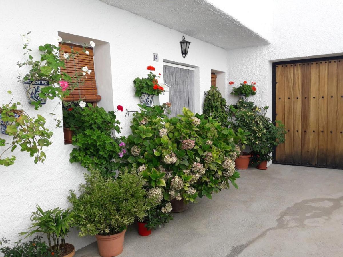 Casa La Huerta Διαμέρισμα Bubión Εξωτερικό φωτογραφία